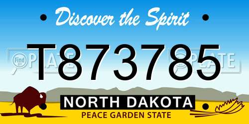 T873785 North Dakota License Plate