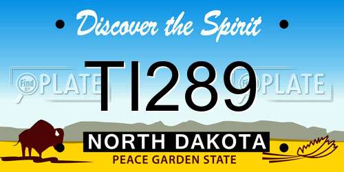 TI289 North Dakota License Plate