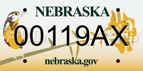 00119AX Nebraska License Plate