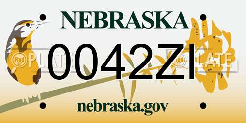 0042ZI Nebraska License Plate