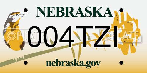 004TZI Nebraska License Plate
