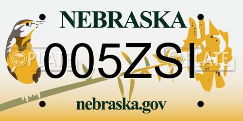 005ZSI Nebraska License Plate