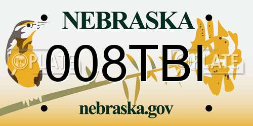 008TBI Nebraska License Plate