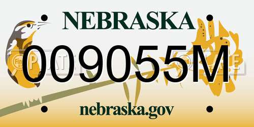 009055M Nebraska License Plate