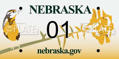 01 Nebraska License Plate