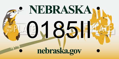0185II Nebraska License Plate