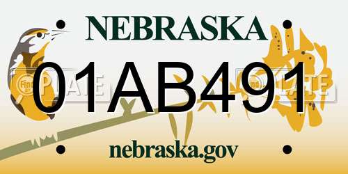 01AB491 Nebraska License Plate