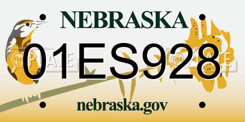 01ES928 Nebraska License Plate