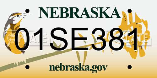 01SE381 Nebraska License Plate