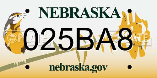 025BA8 Nebraska License Plate
