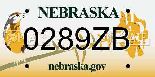 0289ZB Nebraska License Plate