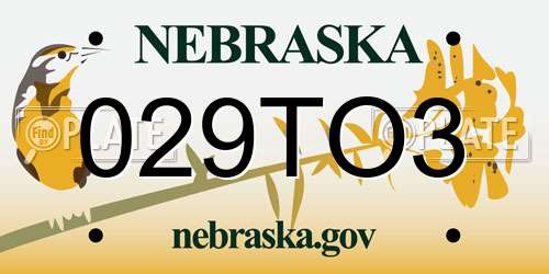 029TO3 Nebraska License Plate