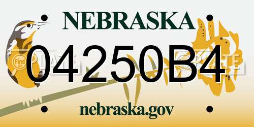04250B4 Nebraska License Plate