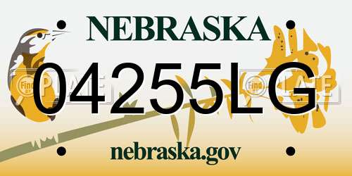 04255LG Nebraska License Plate