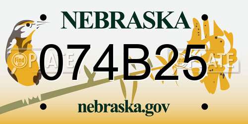 074B25 Nebraska License Plate