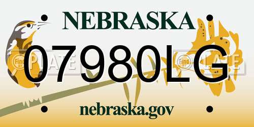 07980LG Nebraska License Plate