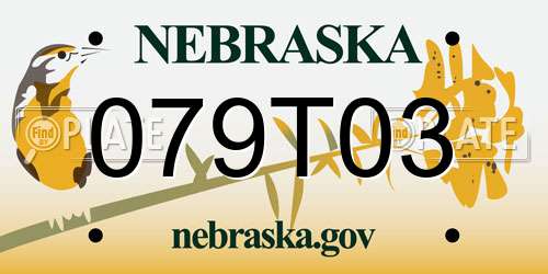 079T03 Nebraska License Plate