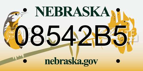 08542B5 Nebraska License Plate