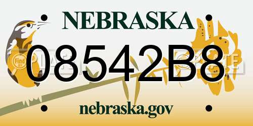 08542B8 Nebraska License Plate