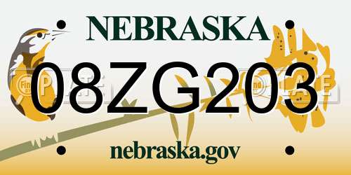 08ZG203 Nebraska License Plate