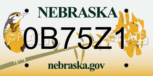 0B75Z1 Nebraska License Plate