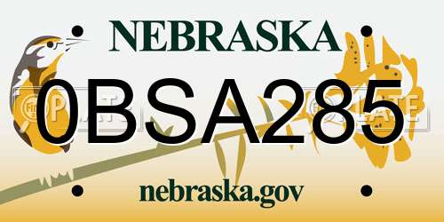 0BSA285 Nebraska License Plate