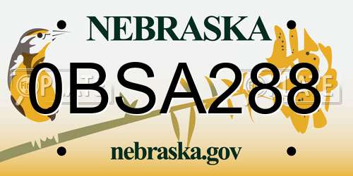 0BSA288 Nebraska License Plate