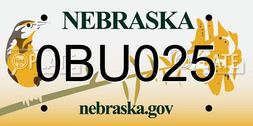 0BU025 Nebraska License Plate
