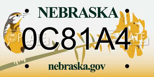 0C81A4 Nebraska License Plate