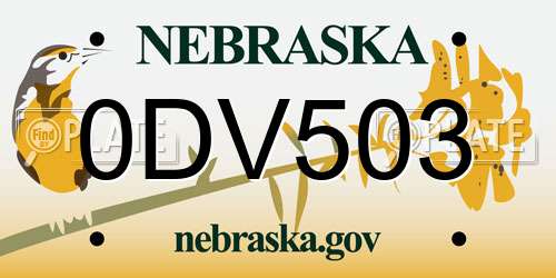 0DV503 Nebraska License Plate