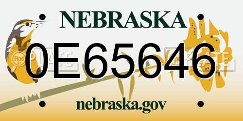 0E65646 Nebraska License Plate