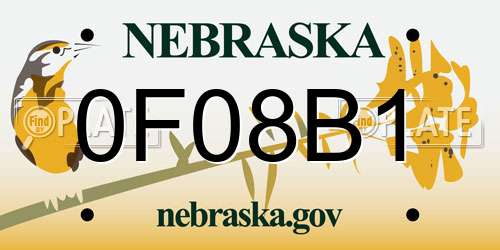 0F08B1 Nebraska License Plate