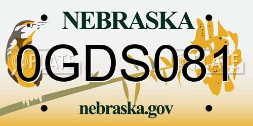 0GDS081 Nebraska License Plate