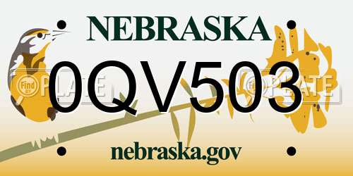 0QV503 Nebraska License Plate