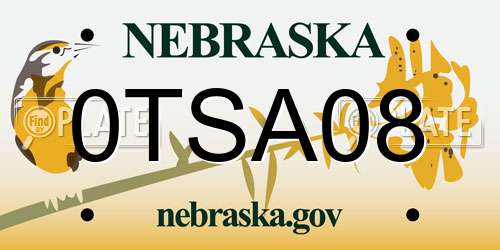 0TSA08 Nebraska License Plate