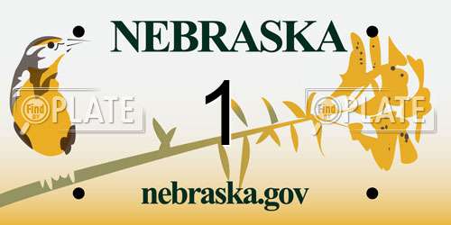 1 Nebraska License Plate