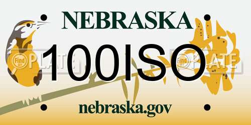 100ISO Nebraska License Plate