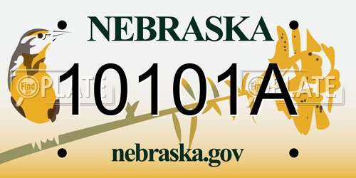 10101A Nebraska License Plate