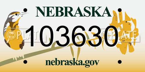 103630 Nebraska License Plate
