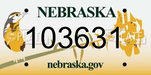 103631 Nebraska License Plate