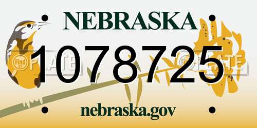 1078725 Nebraska License Plate