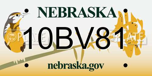 10BV81 Nebraska License Plate