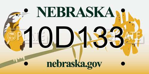 10D133 Nebraska License Plate