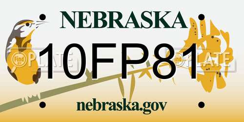 10FP81 Nebraska License Plate