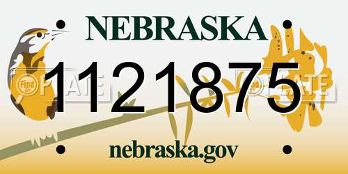 1121875 Nebraska License Plate