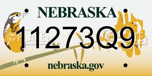 11273Q9 Nebraska License Plate