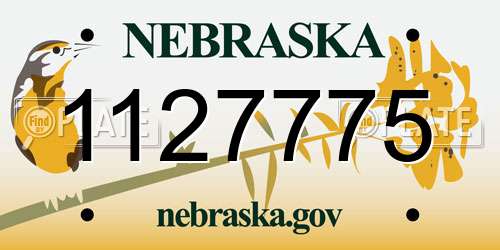 1127775 Nebraska License Plate