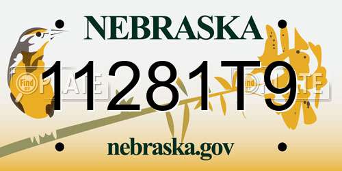 11281T9 Nebraska License Plate