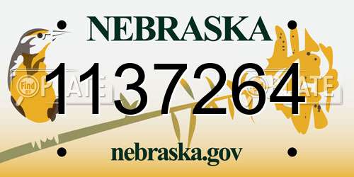 1137264 Nebraska License Plate