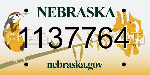 1137764 Nebraska License Plate